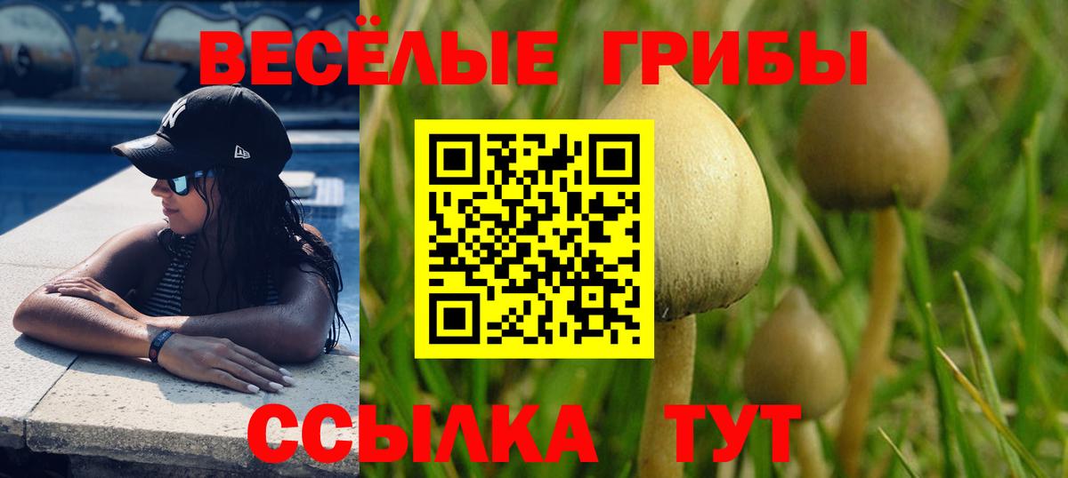 Псилоцибиновые грибы прущие грибы Тайшет