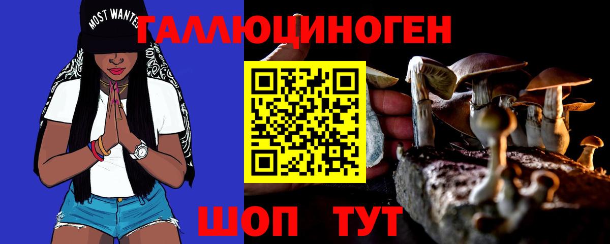 Галлюциногенные грибы Cubensis  Галлюциногенные грибы Psilocybine cubensis  Тайшет  Вход с VPN 